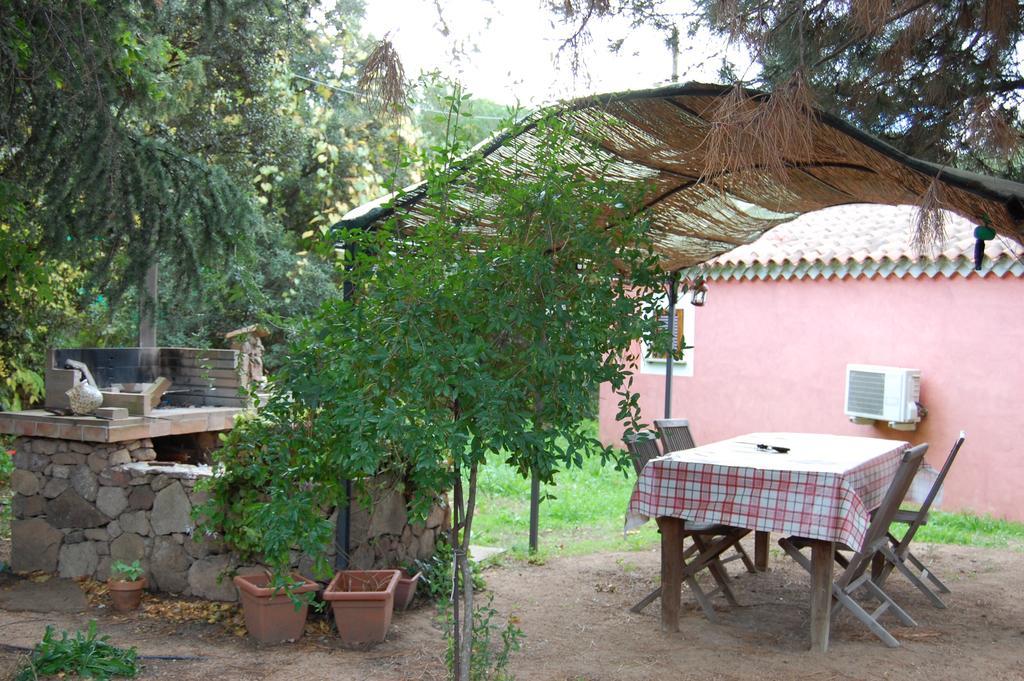 Agriturismo L'Aglientu B&B Loiri Porto San Paolo Exterior photo